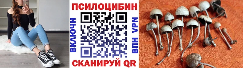 Галлюциногенные грибы прущие грибы  где можно купить   Усть-Катав 